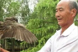 为了报“救命之恩”，这只鸟叼来刚出土的“破烂古币”报恩图片