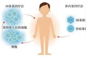 基因疗法：单基因遗传疾病患者治愈的新希望图片