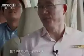企业家为什么都去海南？图片