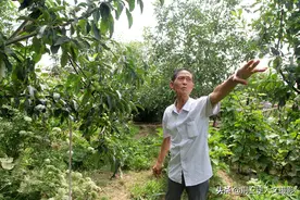 山西7旬老人历时10年建成“百果园”，瓜果飘香，看美成啥样图片