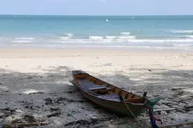 海边捡到稀有珍珠，神秘中国买家出价220万，泰国渔民一夜暴富图片