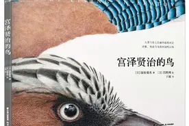 《宫泽贤治的鸟》改变你阅读宫泽贤治的方式图片