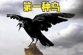 俗语“两鸟进宅，无祸也有灾”，指哪2种鸟？为何进家不好？图片