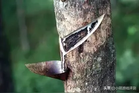 许多老一辈深信不疑的奇怪民间药方图片