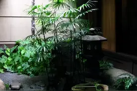 心安茅屋稳 性定菜根香图片