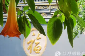 佛学的本质是什么，看完恍然大悟图片