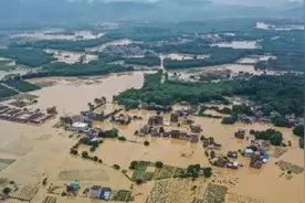 连日的暴雨过后，那些流浪猫都怎么样了？图片
