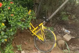被丢弃在南宁街头的共享自行车，有些轮胎都找不到了，太可惜！图片