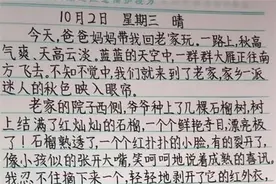 小学生“豆腐块字体”走红，被赞“人形打印机”，老师也自愧不如图片