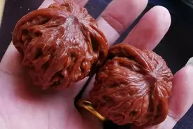 核桃放4年，不用盘也红？南方人盘串也太爽了吧图片