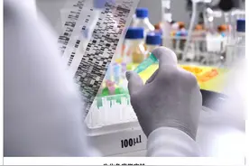 服务外包：生化免疫学实验图片