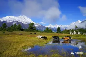 图集 | 十一世班禅：访米拉日巴故居 望边寨时代新风貌图片