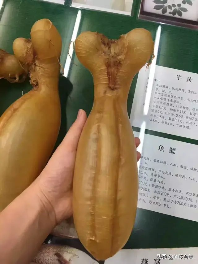 蜘蛛胶哪里产的好 2026年蜘蛛胶哪里产的好用