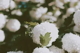 “这个月，小姑子来娘家吃饭的第七天，我把她锁在了门外。”图片