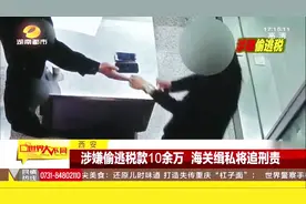 严禁偷逃税！你知道吗？入境携带价值超过5000的商品就要申报！视频封面