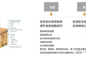 化学焕肤对皮肤有什么帮助呢？——第一篇 果酸焕肤图片