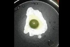 印度母鸡下“绿蛋黄”鸡蛋，做成荷包蛋长这样，开始没人敢吃图片