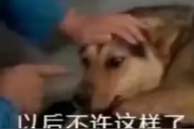 表情包：只要我跑的够快，寂寞就追不上我图片