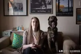 为什么要救助小动物？这就是答案图片