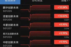 “蚂蚁基金”全部涨停 支付宝买入转托管卖出的收益已达50%图片