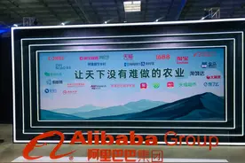 阿里数字农业，“棋局”已成型？图片