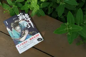 《藏锋行》：奇妙构思下奇幻的武侠世界图片