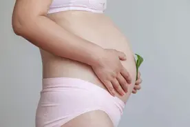 一家俩孕妇！郑州这对婆媳同期怀孕！图片
