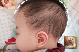 为啥有的宝宝脸很小，有的宝宝脸就像“大饼”一样？跟娃脑型有关图片