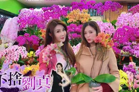 最美打女杨丽菁忆述与刘真20年姐妹情，当街哭瘫：情敌变闺蜜！图片