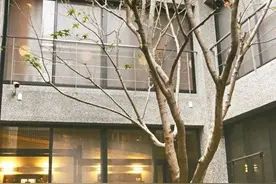 伴失智母三迁 他造玻璃屋陪9旬母“童言童语”图片