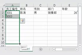 Excel的快速填充是什么？图片