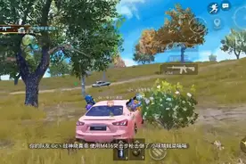 和平精英：网红车队实力解释新名词“摇车”！路人局别理解错了！图片