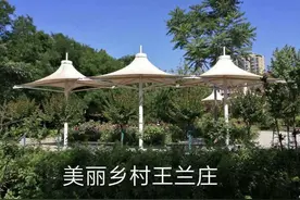 圆梦大舞台，有梦你就来图片