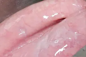 它是猪身上的“宝”，富含铁元素，能补肺止咳，一煮一蘸，超级香图片