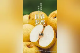 四省交界的“世界梨都”，到底有多拼？图片