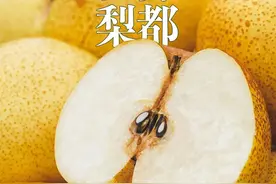 四省交界的“世界梨都”，到底有多拼？图片
