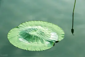 染指流年，惹凉书签，谁的眉目，岁月河山；谁的远方，星辰大海图片