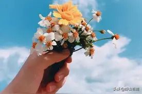 与这6个人相遇，是劫难，而不是缘分图片