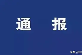 校外培训机构“退费难”、“跑路”，阜阳三个月受理投诉近300件，涉及长颈鹿美语，优胜教育、朴胜教育等图片