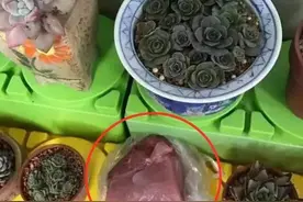 当老师布置的作业被小朋友“传错话”后，网友：先让我笑一会图片
