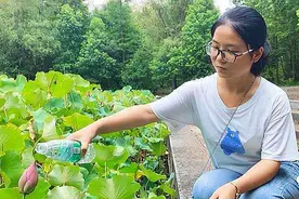 洛阳考古界隔空喊话“团宠”钟芳蓉：欢迎来“考古圣地”实践图片