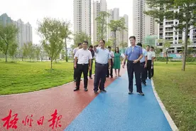 再提升、更完善！全桂寿到苍海调研项目建设情况图片