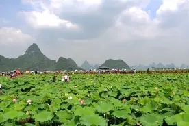 穿越——当汉唐风采遇见柳江“玉藕”～～图片