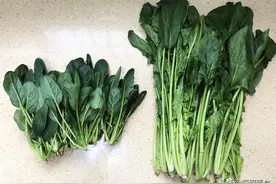 买菠菜时，选“长”还是选“短”的？牢记“3不买”，别随便买了图片