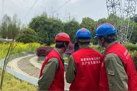 国网湖北检修发现树障隐患：把“激光炮”拿来！图片
