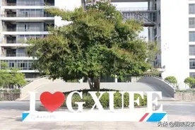 广西财经学院再提升格大学，仅有一个专业硕士点，底气在哪里？图片