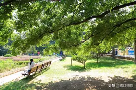 五一最适合老年人的6个旅行地，鸟语花香，幽静惬意，住下不想走图片