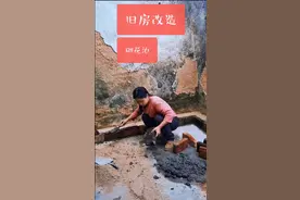 旧房改造-小院砌花池图片