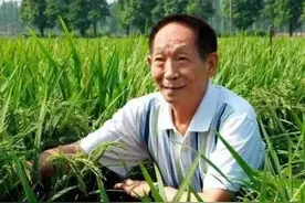 今日致敬！袁隆平曾说：“退休对我来说是不存在的”图片
