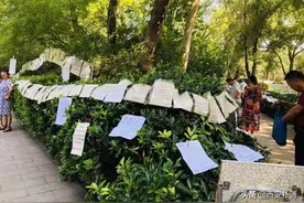 革命公园相亲角2.0，“死路一条”的爱情图片